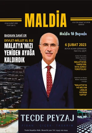 Test Dergi 2